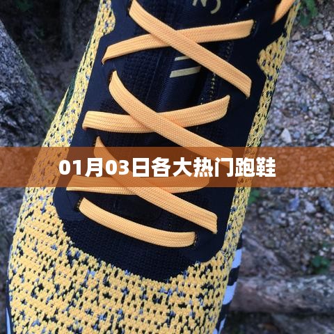 公司簡(jiǎn)介 第439頁(yè)