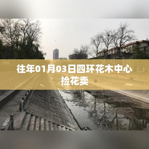 往年元旦后四環(huán)花木中心賞花購物記