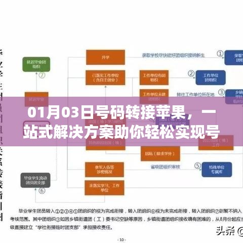 蘋果號碼轉(zhuǎn)移一站式解決方案，輕松實現(xiàn)轉(zhuǎn)接