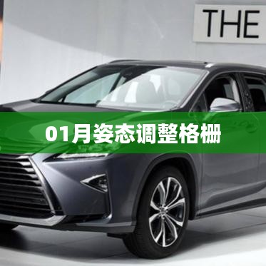 姿態(tài)調(diào)整格柵，一月操作指南