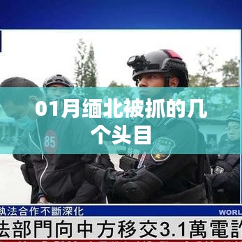 緬北行動，一月頭目抓捕行動回顧