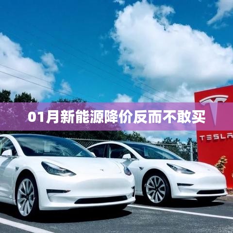 新能源降價(jià)引發(fā)觀望心態(tài)，消費(fèi)者猶豫待購(gòu)