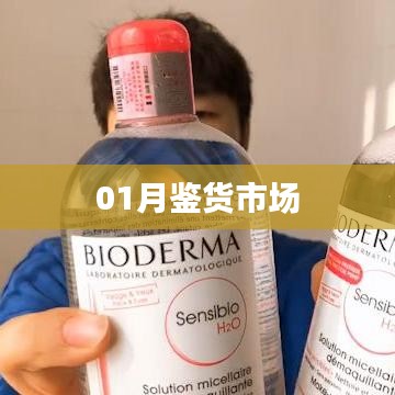 最新鑒貨市場趨勢分析