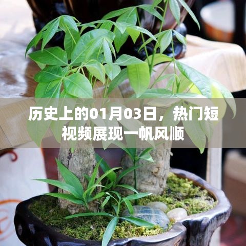 熱門(mén)短視頻展現(xiàn)，歷史一月三日一帆風(fēng)順時(shí)刻