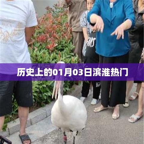 濱淮熱門事件回顧，歷史上的1月3日