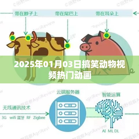 2025年搞笑動物視頻盛宴，熱門動畫歡樂來襲