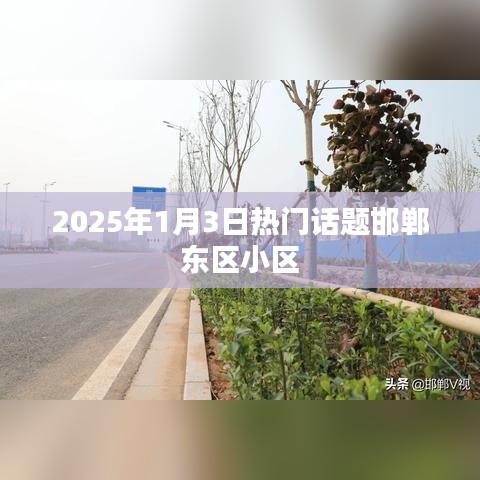 邯鄲東區(qū)小區(qū)，聚焦2025年1月3日熱議話(huà)題
