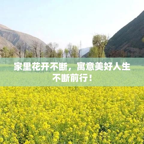 家里花開不斷，寓意美好人生不斷前行！