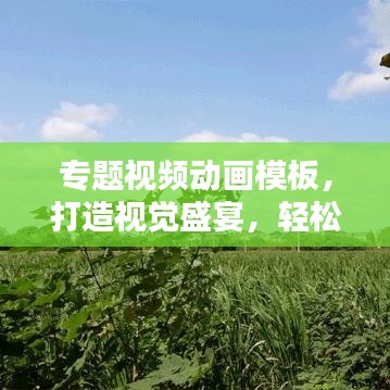 專題視頻動(dòng)畫(huà)模板，打造視覺(jué)盛宴，輕松吸引眼球！