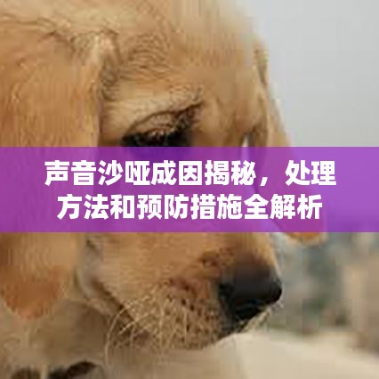 聲音沙啞成因揭秘，處理方法和預(yù)防措施全解析
