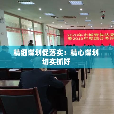 精細謀劃促落實：精心謀劃 切實抓好 