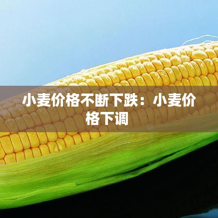 公司簡(jiǎn)介 第425頁(yè)