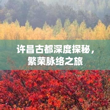 許昌古都深度探秘，繁榮脈絡之旅