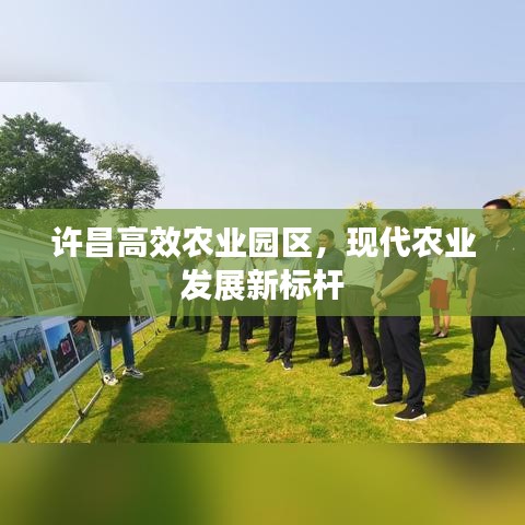 許昌高效農(nóng)業(yè)園區(qū)，現(xiàn)代農(nóng)業(yè)發(fā)展新標(biāo)桿