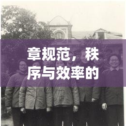 章規(guī)范，秩序與效率的保障基石