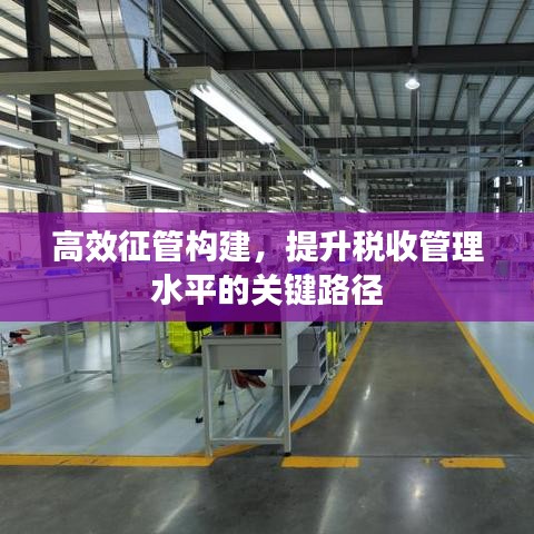 高效征管構(gòu)建，提升稅收管理水平的關(guān)鍵路徑