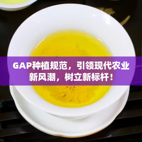GAP種植規(guī)范，引領(lǐng)現(xiàn)代農(nóng)業(yè)新風(fēng)潮，樹立新標(biāo)桿！