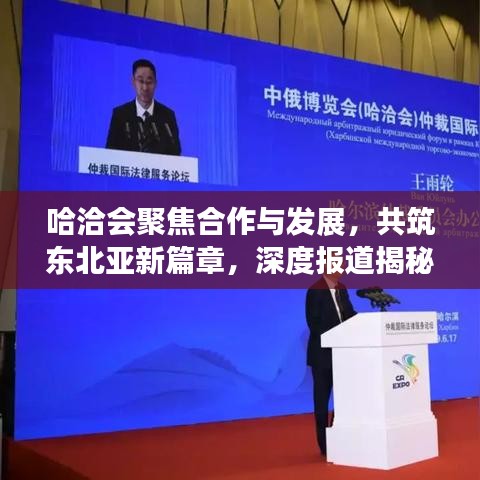 哈洽會(huì)聚焦合作與發(fā)展，共筑東北亞新篇章，深度報(bào)道揭秘盛會(huì)亮點(diǎn)