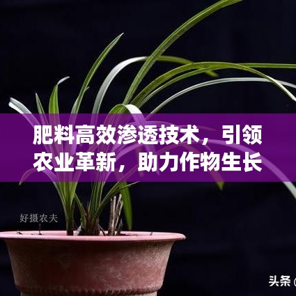 肥料高效滲透技術(shù)，引領(lǐng)農(nóng)業(yè)革新，助力作物生長新動(dòng)力