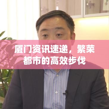 廈門(mén)資訊速遞，繁榮都市的高效步伐