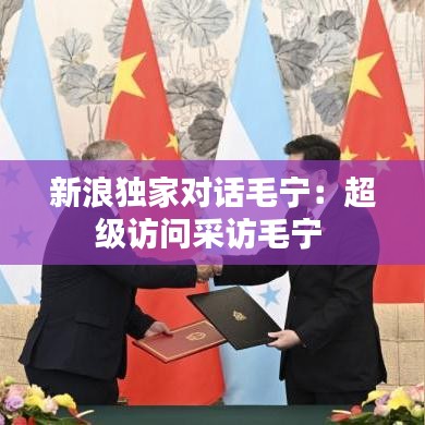 新浪獨家對話毛寧：超級訪問采訪毛寧 