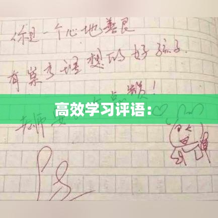高效學(xué)習(xí)評(píng)語(yǔ)： 