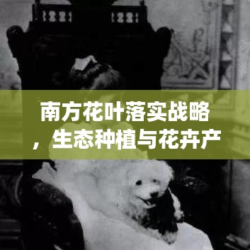 南方花葉落實戰(zhàn)略，生態(tài)種植與花卉產業(yè)繁榮之路
