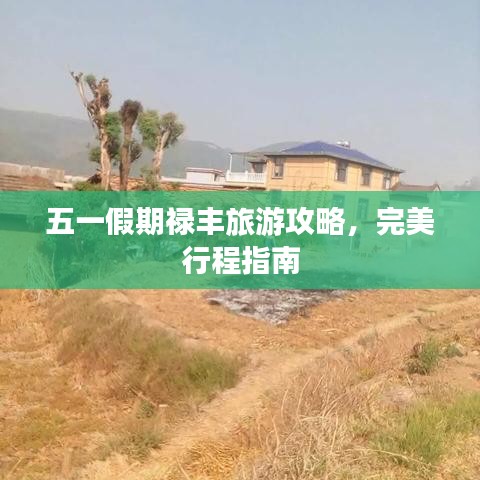 五一假期祿豐旅游攻略，完美行程指南