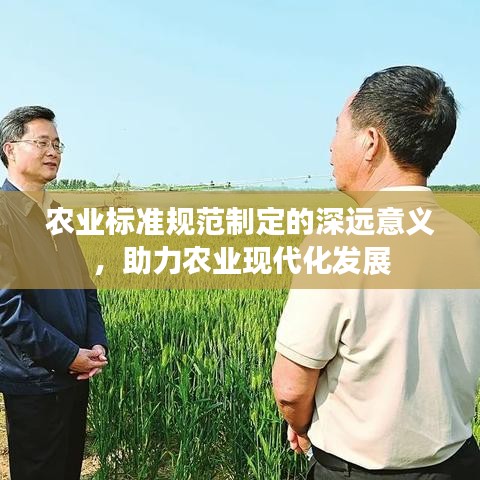 農(nóng)業(yè)標(biāo)準(zhǔn)規(guī)范制定的深遠(yuǎn)意義，助力農(nóng)業(yè)現(xiàn)代化發(fā)展