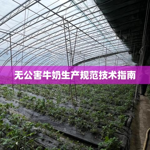 無公害牛奶生產(chǎn)規(guī)范技術(shù)指南