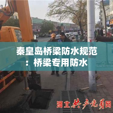 秦皇島橋梁防水規(guī)范：橋梁專用防水 