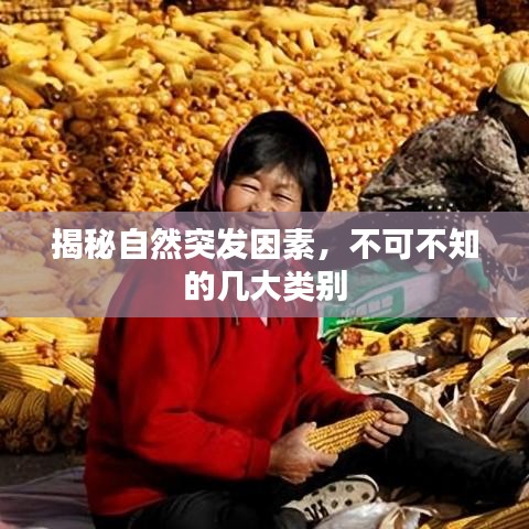 揭秘自然突發(fā)因素，不可不知的幾大類別