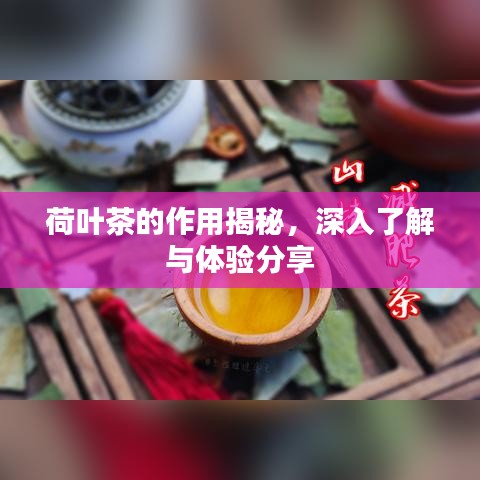 荷葉茶的作用揭秘，深入了解與體驗(yàn)分享