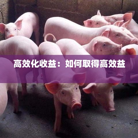 高效化收益：如何取得高效益 