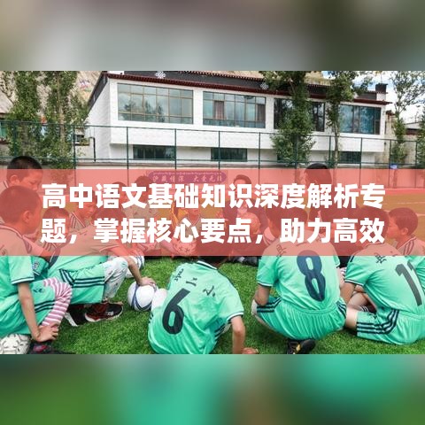 高中語文基礎(chǔ)知識深度解析專題，掌握核心要點，助力高效學(xué)習(xí)！
