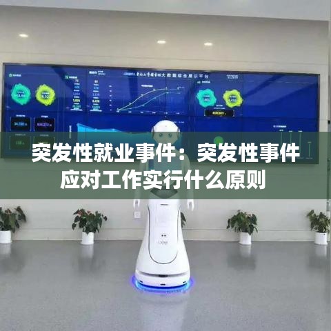 突發(fā)性就業(yè)事件：突發(fā)性事件應對工作實行什么原則 