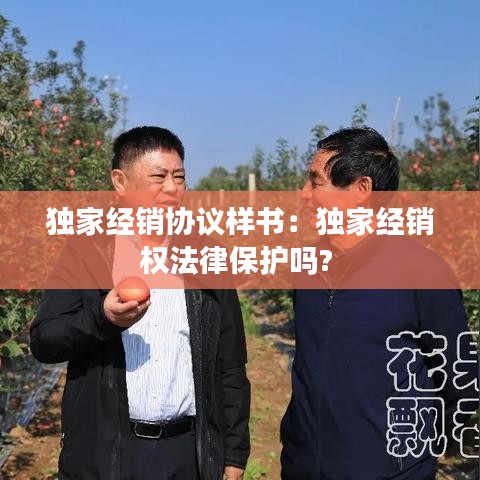 獨(dú)家經(jīng)銷協(xié)議樣書：獨(dú)家經(jīng)銷權(quán)法律保護(hù)嗎? 