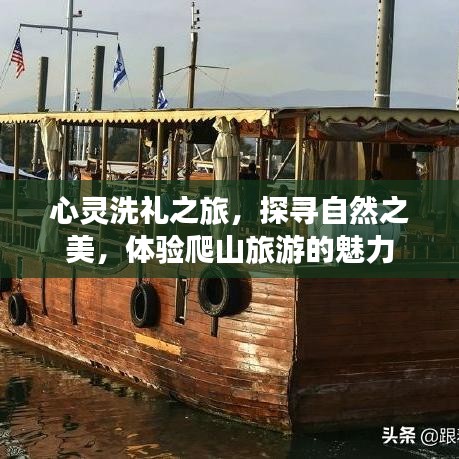 心靈洗禮之旅，探尋自然之美，體驗爬山旅游的魅力