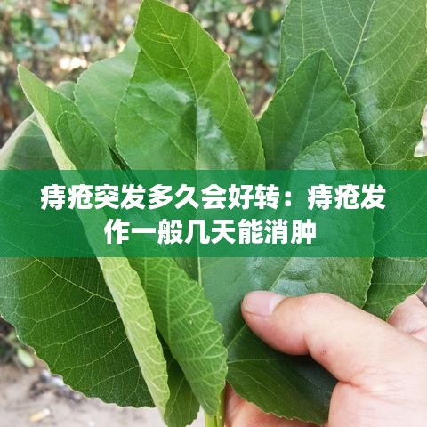 痔瘡突發(fā)多久會好轉(zhuǎn)：痔瘡發(fā)作一般幾天能消腫 
