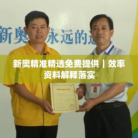新奧精準(zhǔn)精選免費(fèi)提供｜效率資料解釋落實