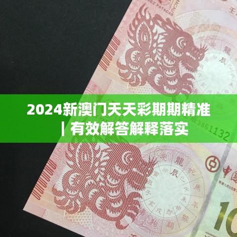 2024新澳門天天彩期期精準(zhǔn)｜有效解答解釋落實