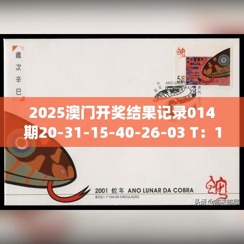 2025澳門開獎(jiǎng)結(jié)果記錄014期20-31-15-40-26-03 T：15｜廣泛的關(guān)注解釋落實(shí)