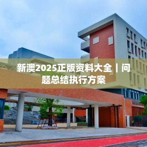 新澳2025正版資料大全｜問題總結(jié)執(zhí)行方案