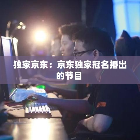 獨家京東：京東獨家冠名播出的節(jié)目 