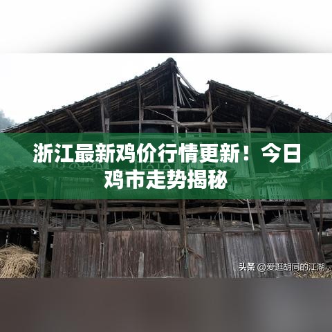 長(zhǎng)頸鳥喙 第4頁
