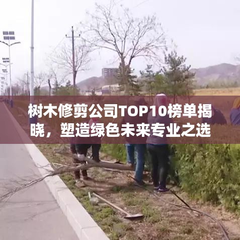 布被瓦器 第4頁