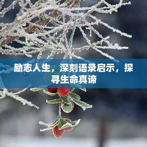 勵志人生，深刻語錄啟示，探尋生命真諦