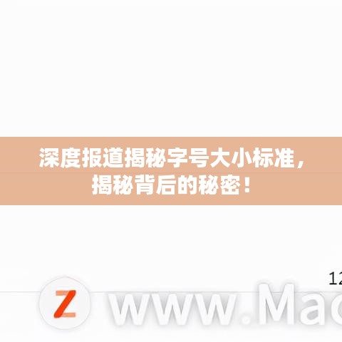 深度報道揭秘字號大小標(biāo)準，揭秘背后的秘密！