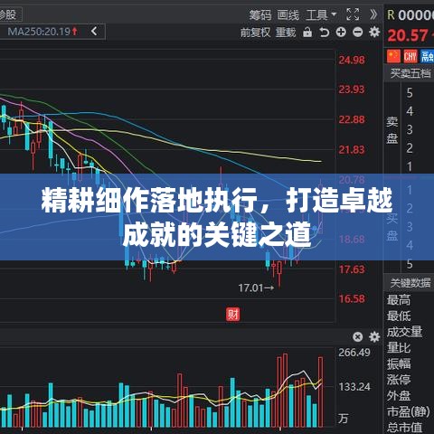 精耕細(xì)作落地執(zhí)行，打造卓越成就的關(guān)鍵之道