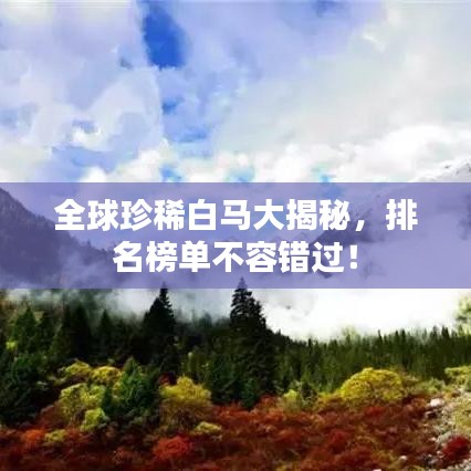 全球珍稀白馬大揭秘，排名榜單不容錯過！